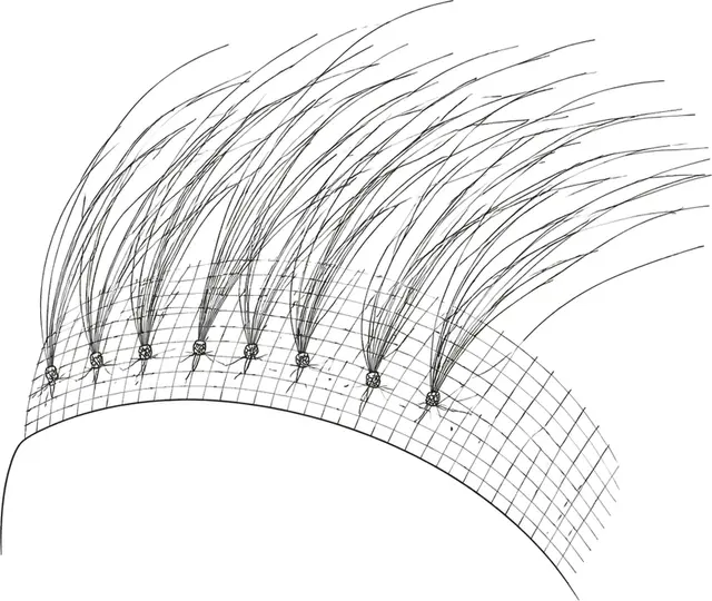 Line diagram of hairs knotted individually to the fine mesh of a lace hairline